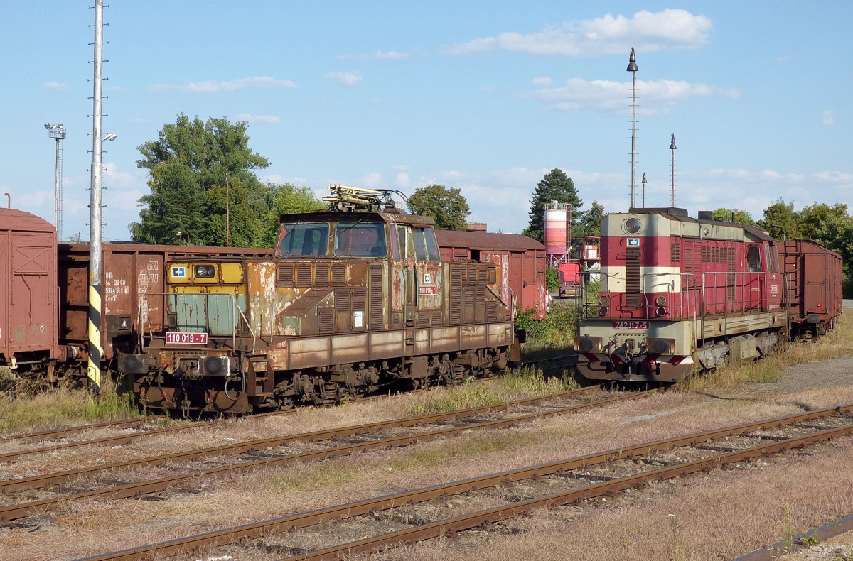 [1200x790] 110019a.jpg