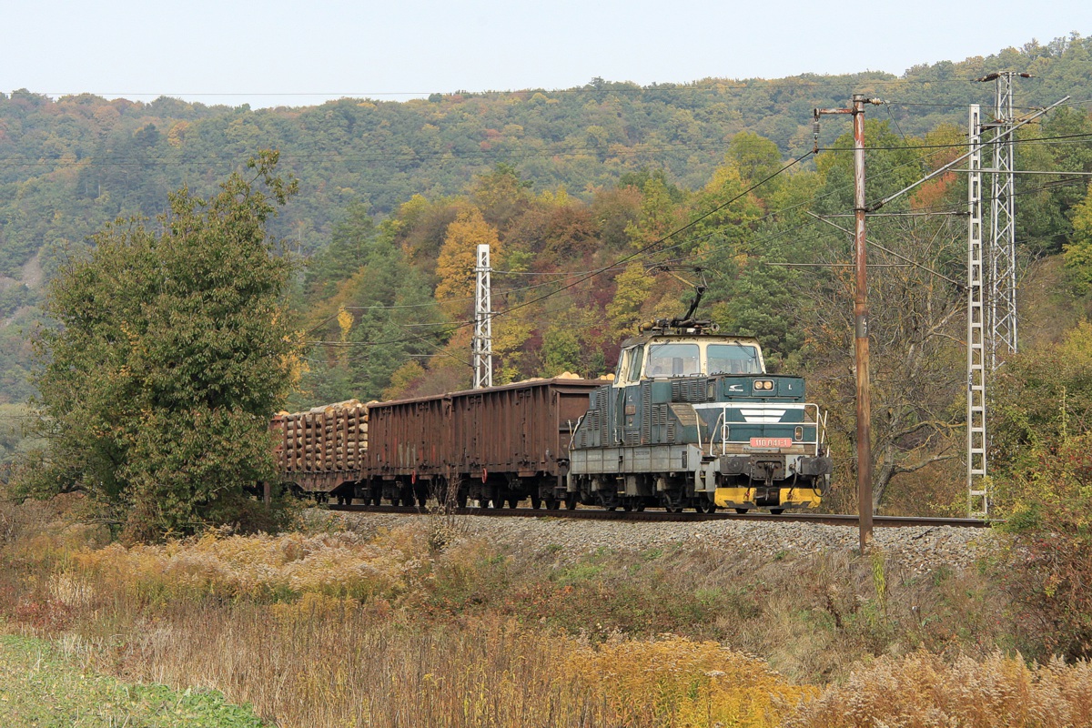 [1200x800] 110041d.jpg