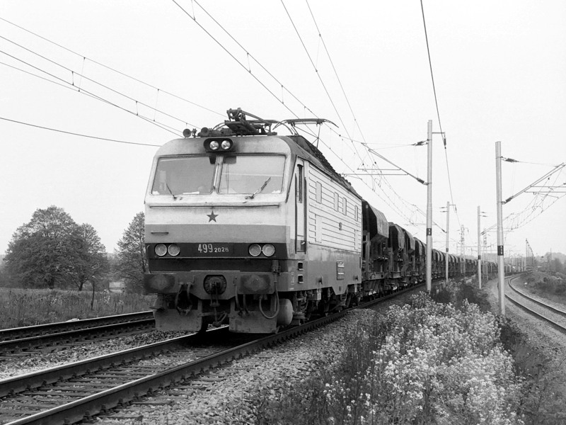 [800x600] 150026b.jpg