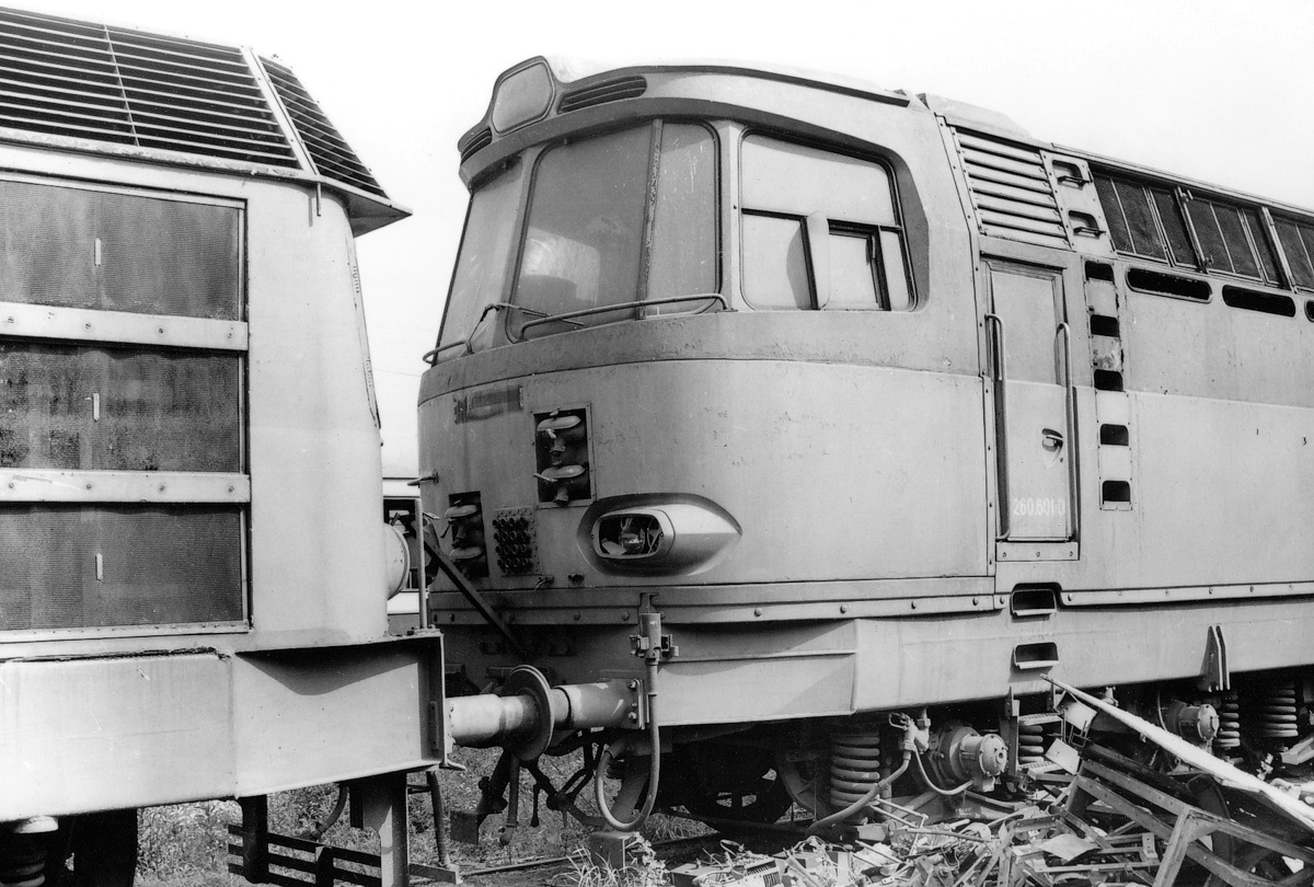 [1200x810] 260601srot1.jpg