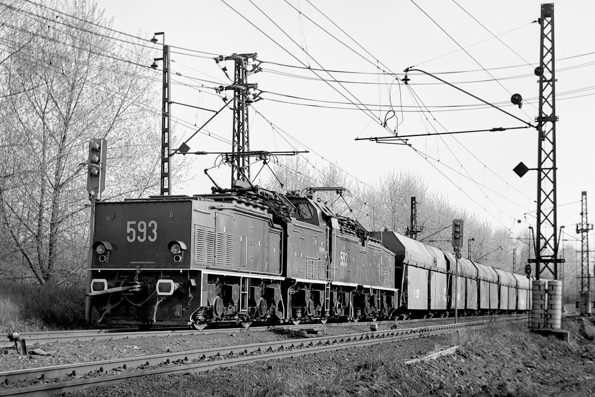 [1200x800] MUS_26Em593a.jpg