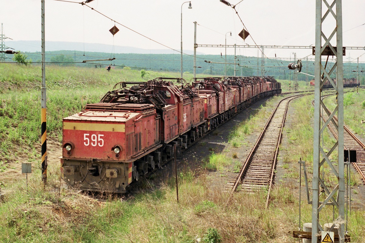 [1200x800] MUS_26Em595a.jpg