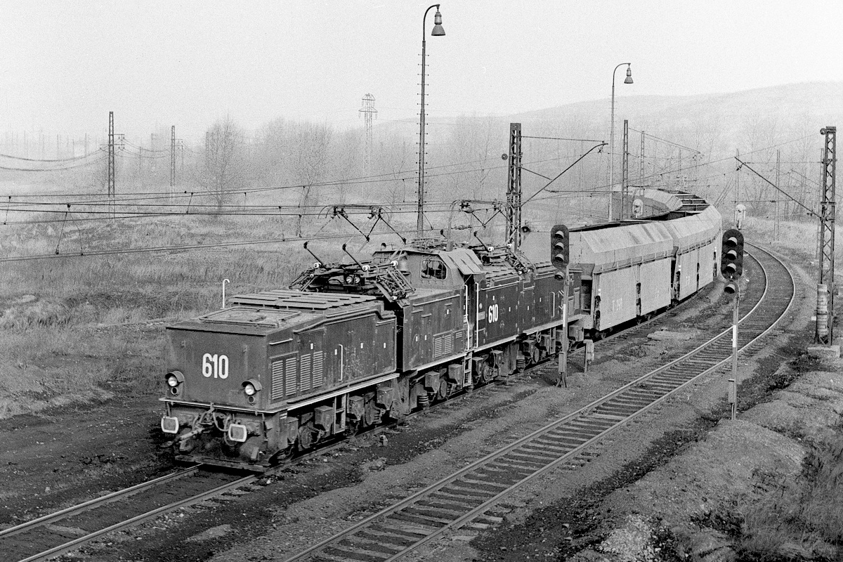 [1200x800] MUS_26Em610b.jpg