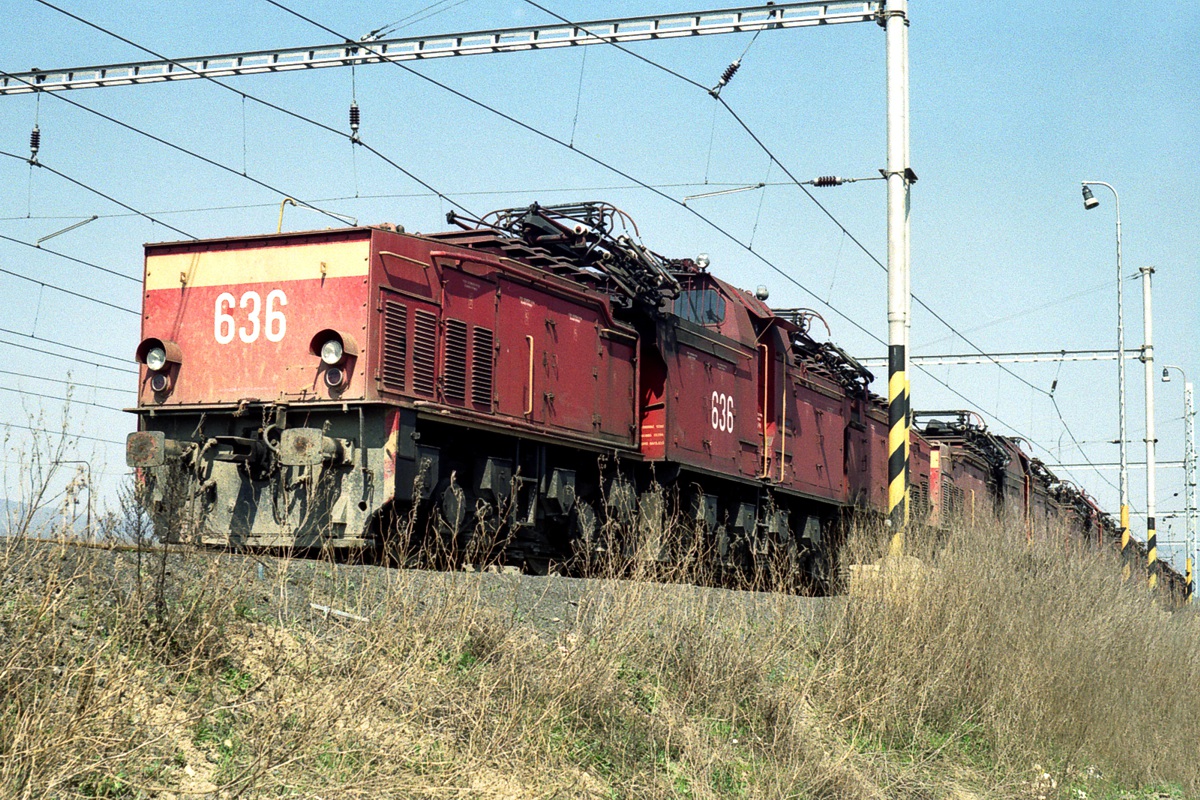 [1200x800] MUS_26Em636a.jpg