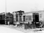 725208a.jpg