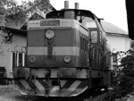 725211b.jpg