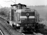 725212a.jpg