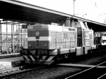 725213a.jpg