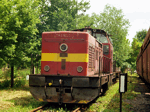725225a.jpg