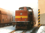 725225g.jpg