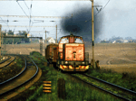 725230b.jpg