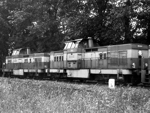 725234a.jpg