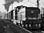 725241a.jpg