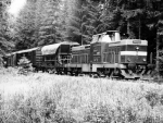 725245b.jpg