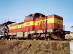 725245c.jpg
