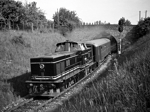 725246a.jpg