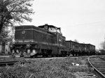 725247i.jpg