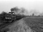 725285c.jpg