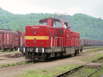 725295a.jpg