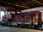 725295d.jpg