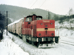 725295e.jpg