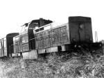 725301b.jpg