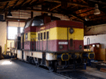 725605c.jpg