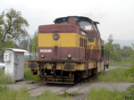 725605f.jpg