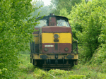 725605g.jpg