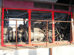 725motor.jpg