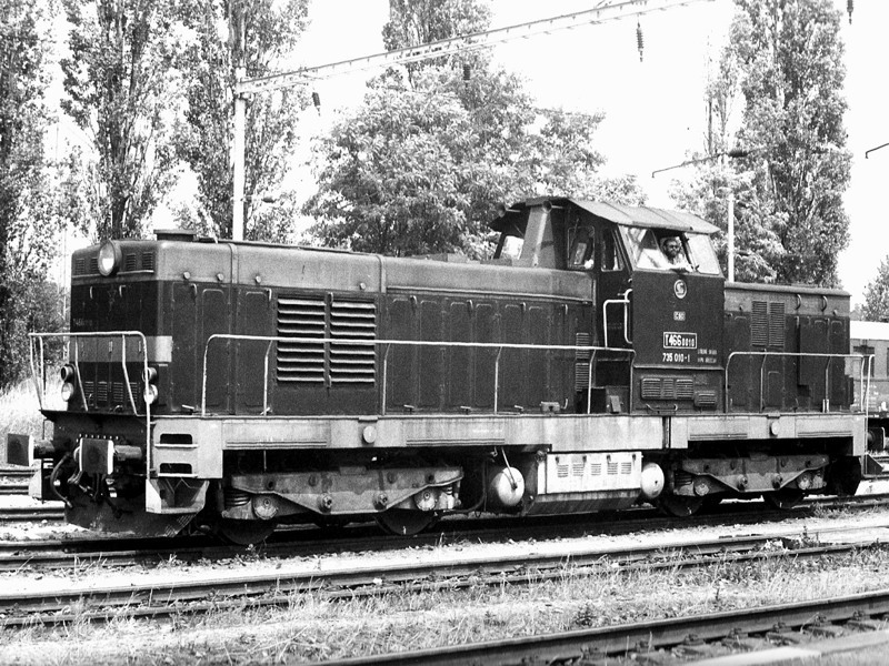 [800x600] 735010b.jpg