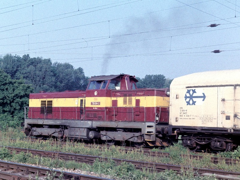 [800x600] 735014c.jpg