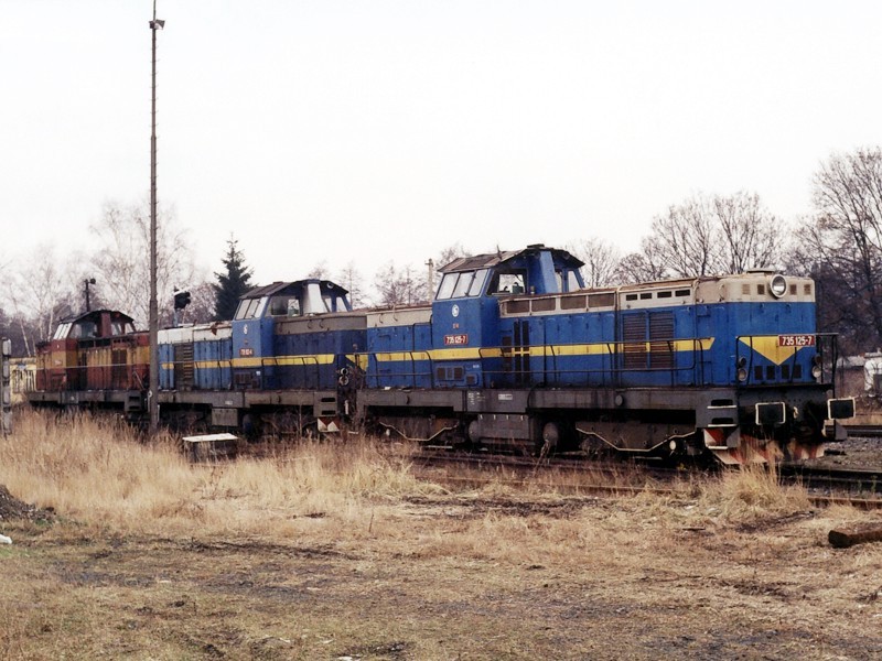 [800x600] 735125e.jpg