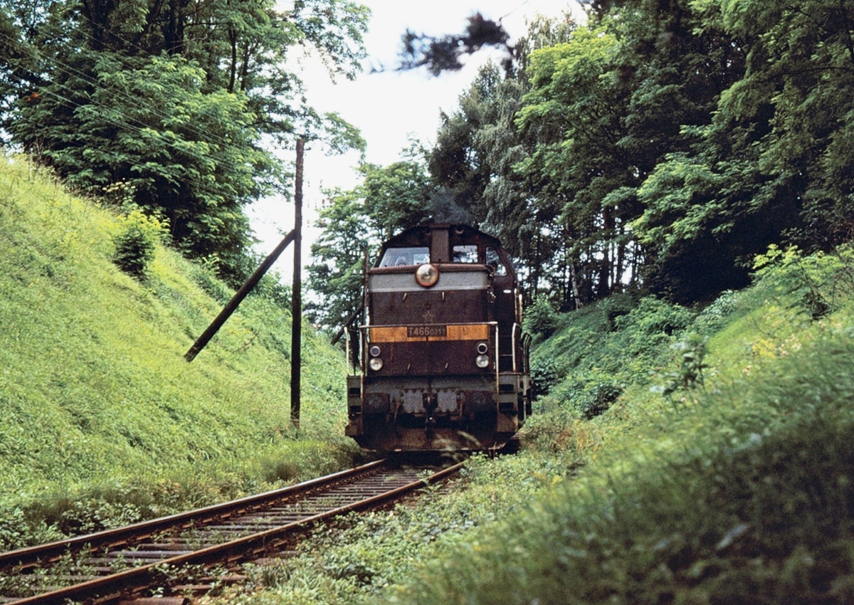 [1200x850] 735211a.jpg