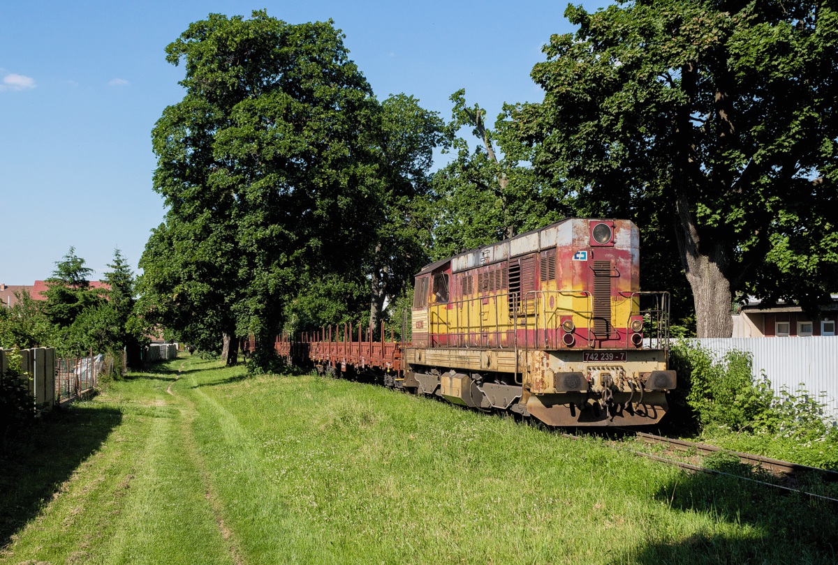 [1200x810] 742239a.jpg