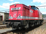 202466a.jpg