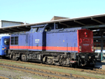 745501f.jpg