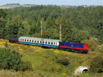 745501g.jpg