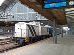 745703c.jpg