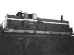 748503b.jpg