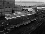 748503c.jpg