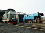 748521d.jpg