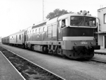 753002i.jpg