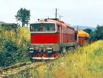 753023b.jpg