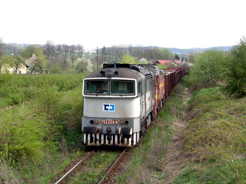 [800x600] 753229d.jpg