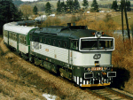 754026a.jpg