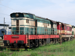 770006a.jpg