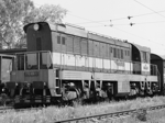 770008a.jpg