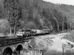 770015c.jpg