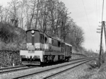 770015d.jpg